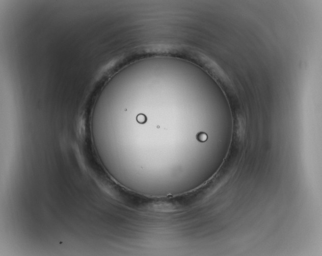 X0000115810636200911201419