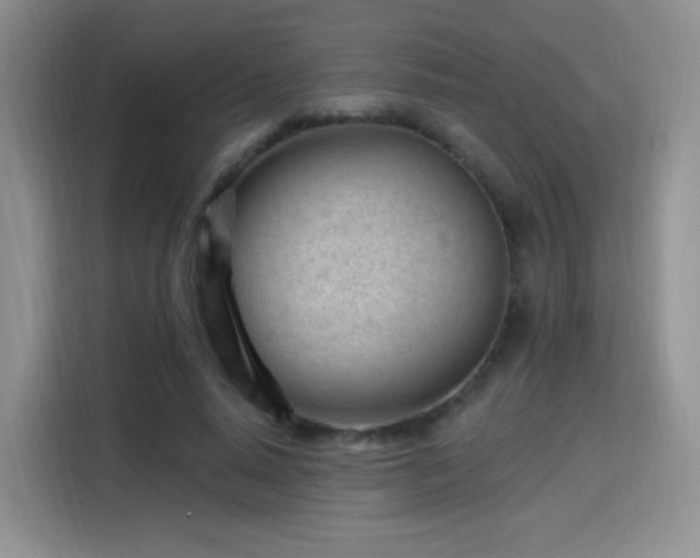 X0000115810640200911201419