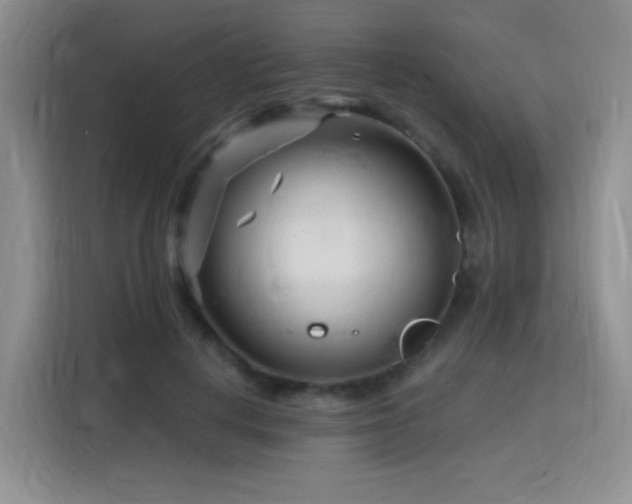 X0000115810648200911201419