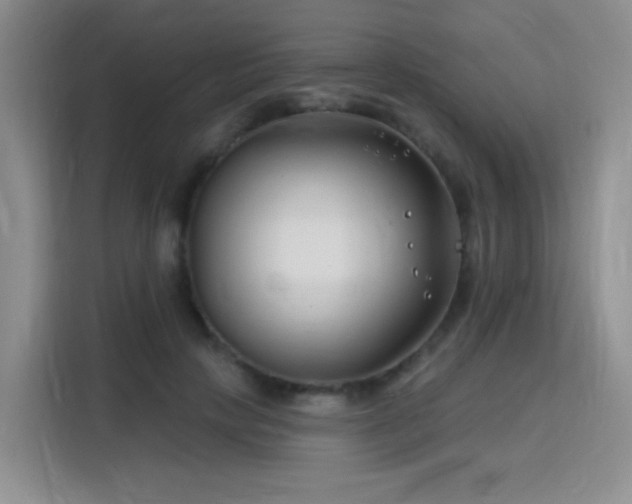X0000115810649200911201419