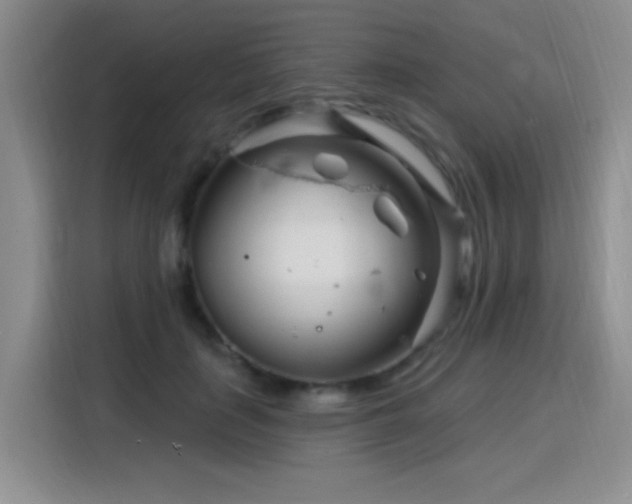 X0000115810651200911201419