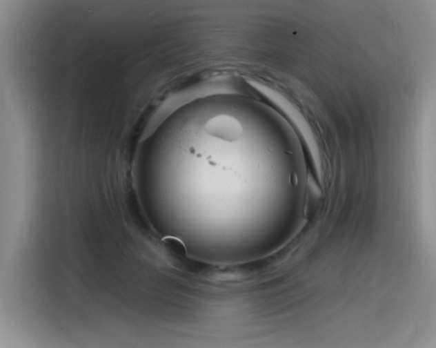 X0000115810653200911201419