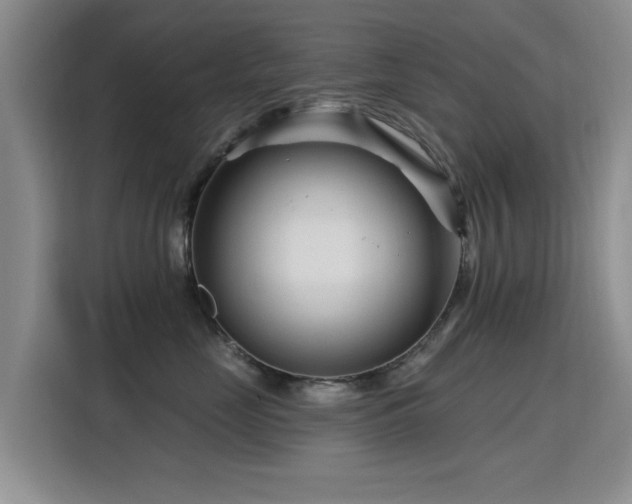 X0000115810669200911201419