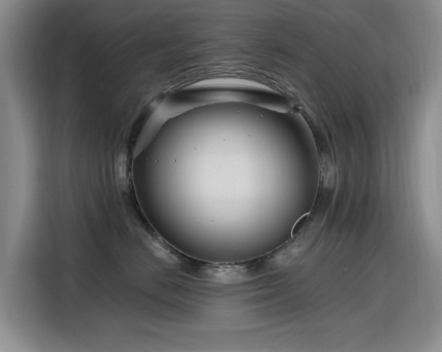 X0000115810670200911201419