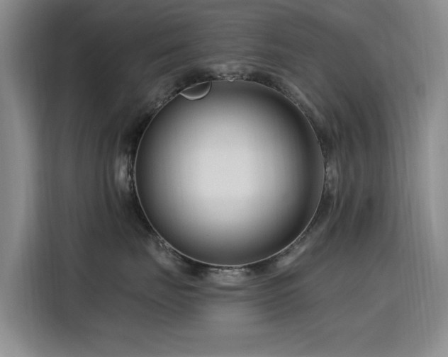 X0000115810671200911201419