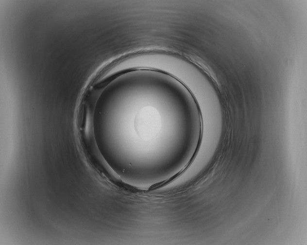 X0000115810676200911201419