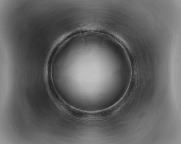 X0000115810678200911201419