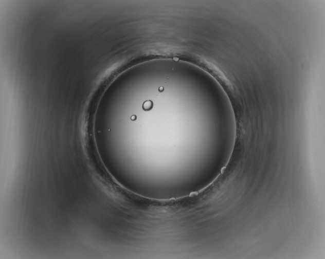 X0000115810679200911201419