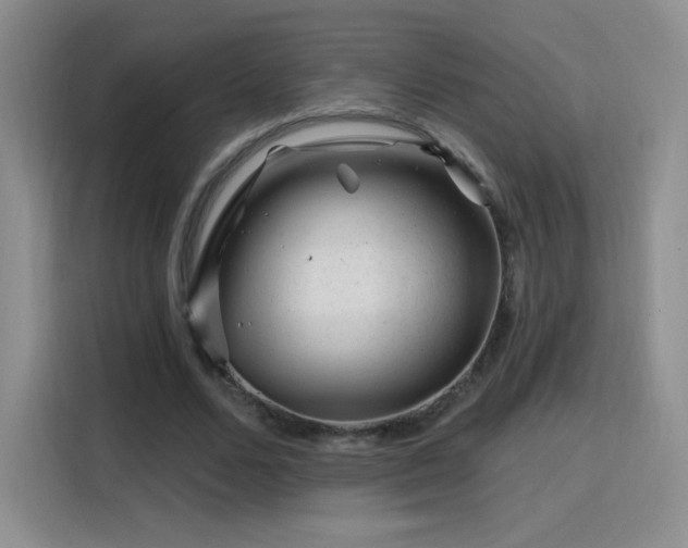 X0000115810680200911201419