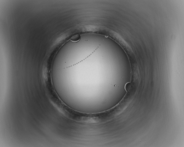 X0000115810683200911201419