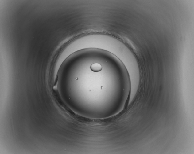 X0000115810684200911201419