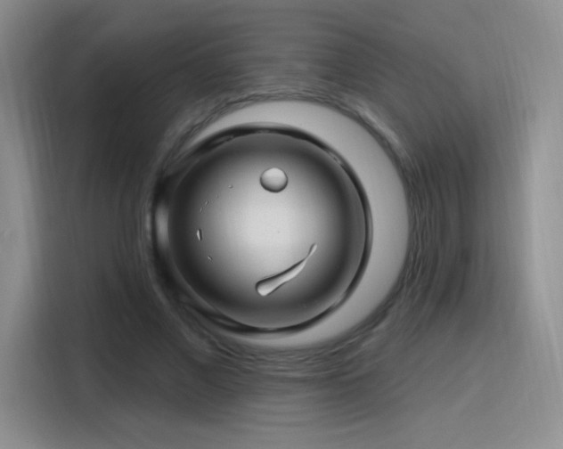 X0000115810685200911201419