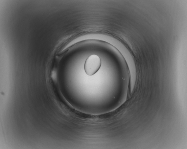 X0000115810688200911201419