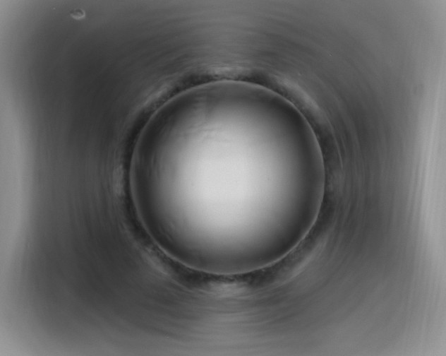X0000115810689200911201419