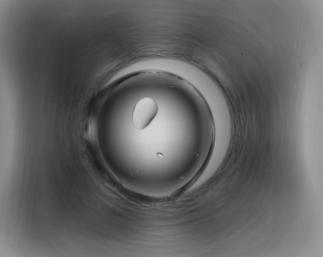 X0000115810692200911201419