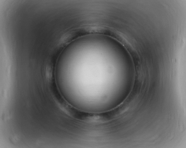 X0000115810695200911201419
