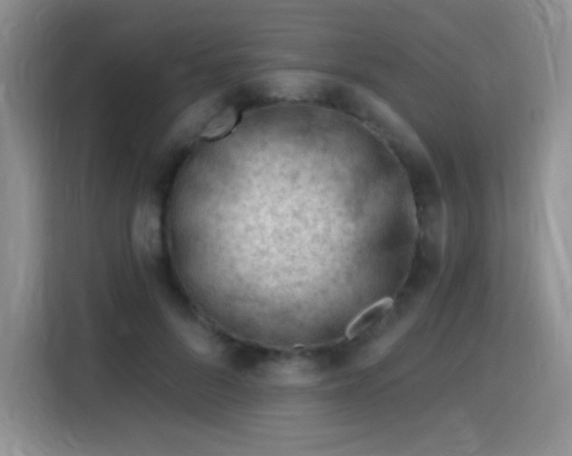X0000115810696200911201419