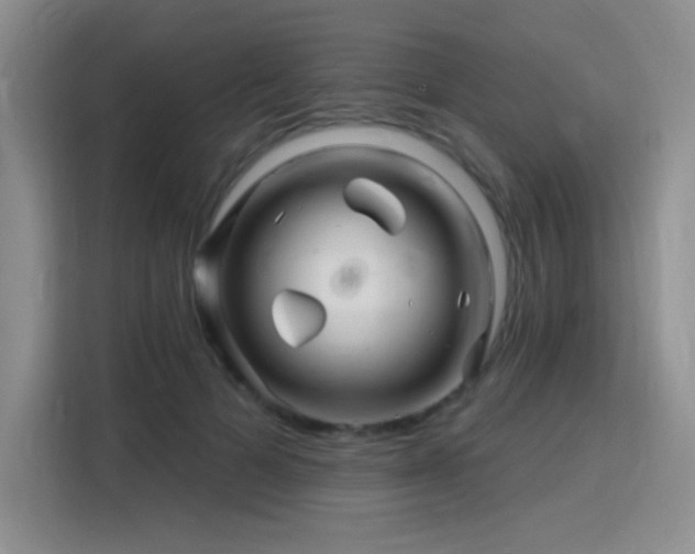 X0000115810697200911201419