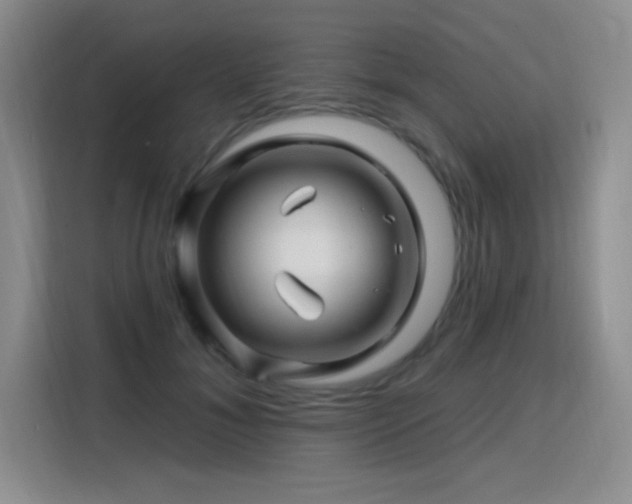 X0000115810700200911201418