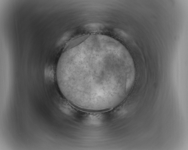 X0000115810720200911201418