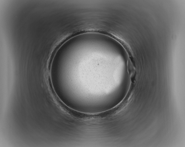 X0000115810721200911201418