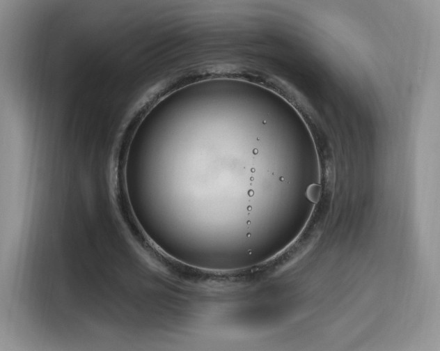 X0000115810725200911201418