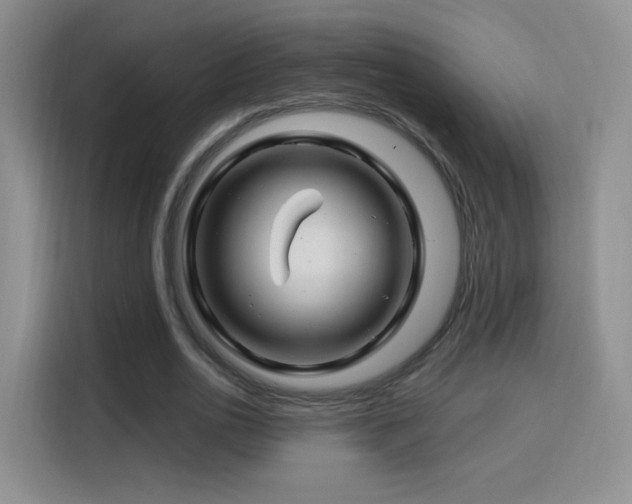 X0000115810726200911201418