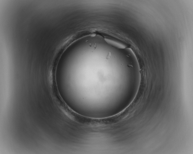 X0000115810729200911201418