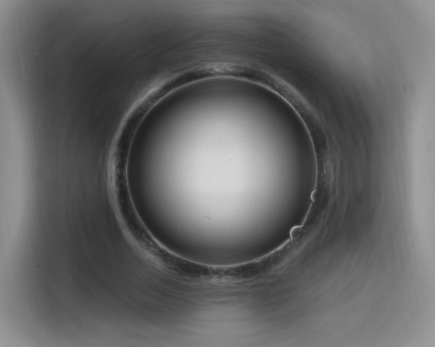 X0000115810730200911201418
