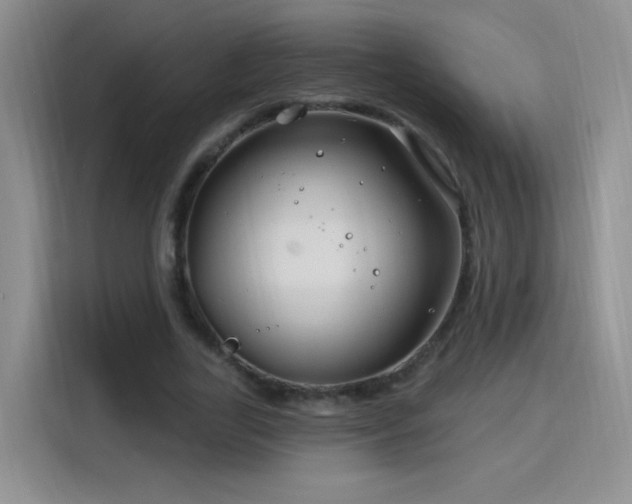 X0000115810731200911201418