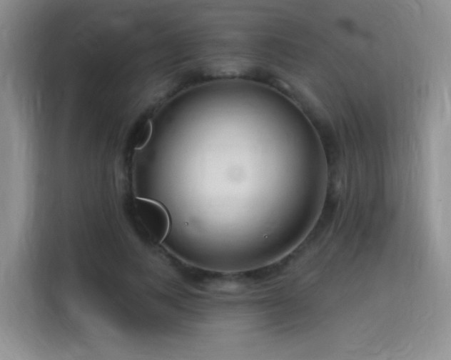 X0000115810743200911201418