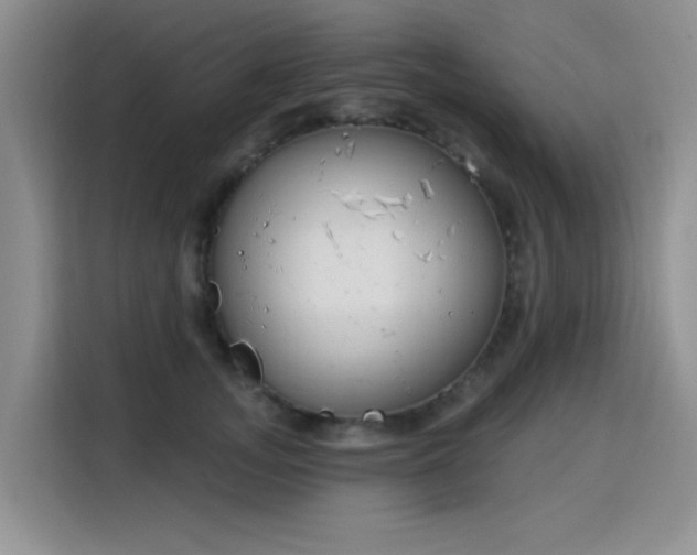 X0000115810755200911201418