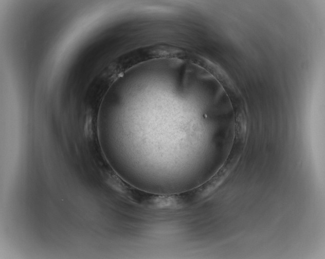 X0000115810762200911201418