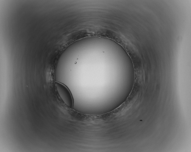 X0000115810770200911201418