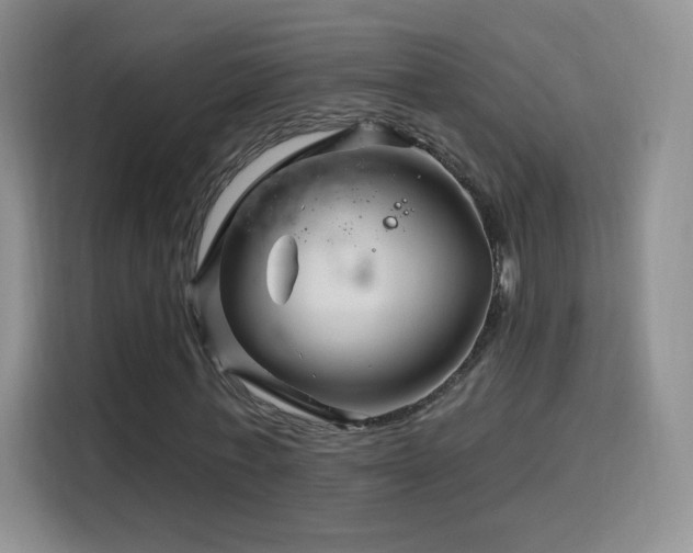 X0000115810771200911201418