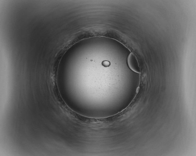 X0000115810772200911201418