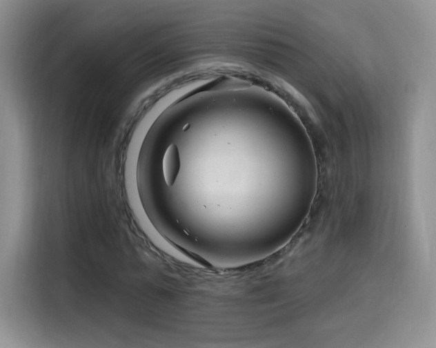 X0000115810775200911201417