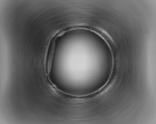 X0000115810777200911201417