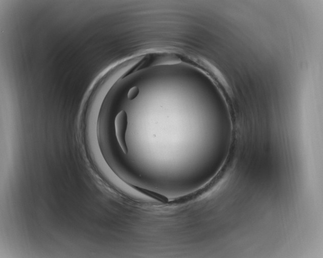 X0000115810779200911201417