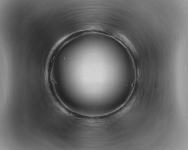 X0000115810780200911201417