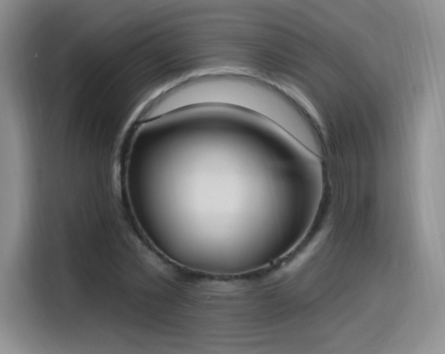 X0000115810781200911201417