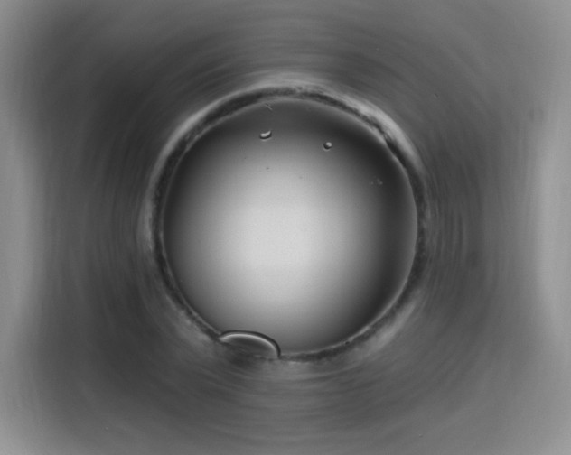 X0000115810783200911201417