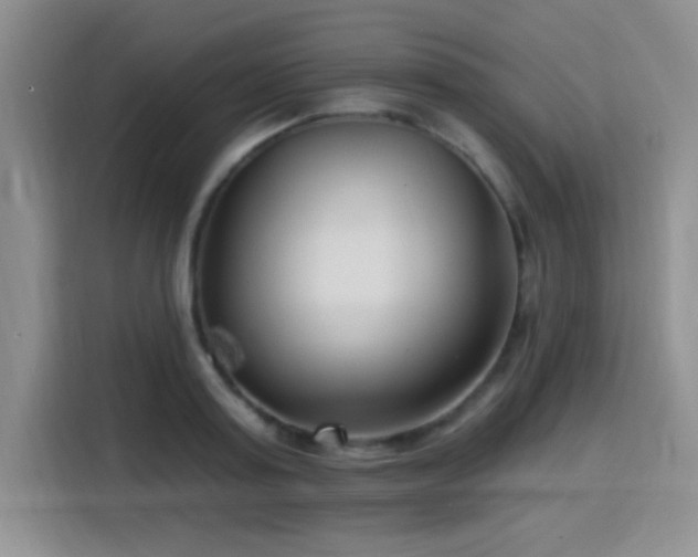 X0000115810795200911201417
