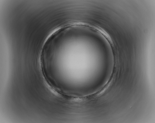 X0000115810806200911201417