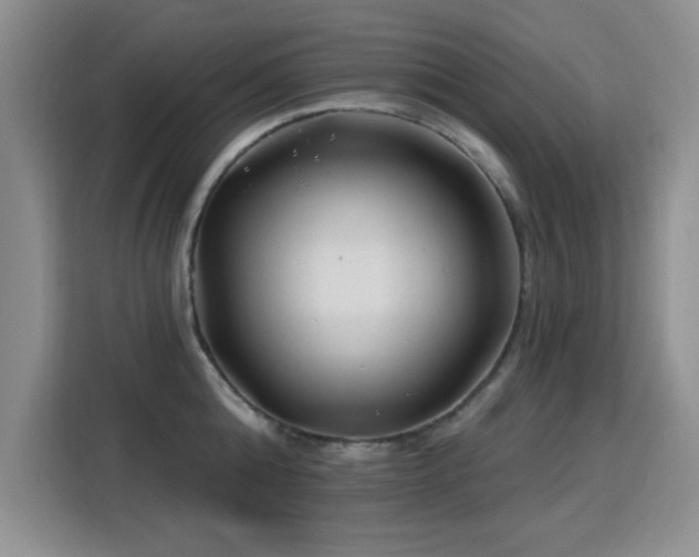 X0000115810808200911201417