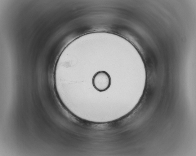 X0000115810810200911201417