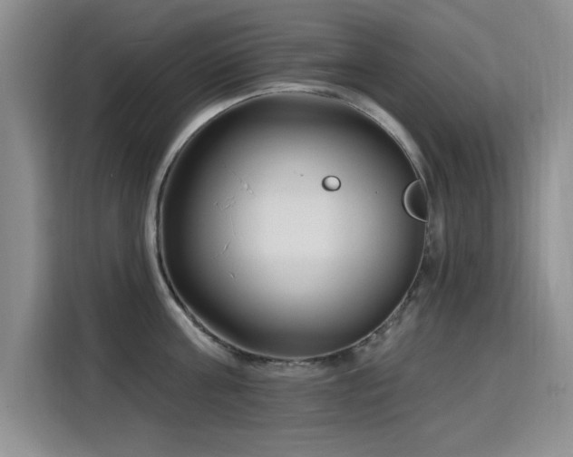 X0000115810811200911201417