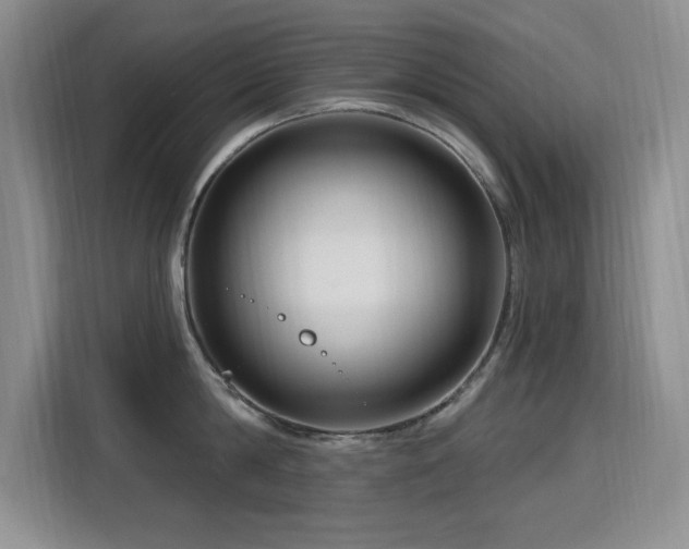 X0000115810814200911201417