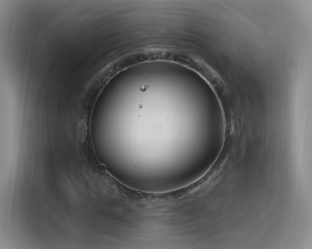 X0000115810821200911201416