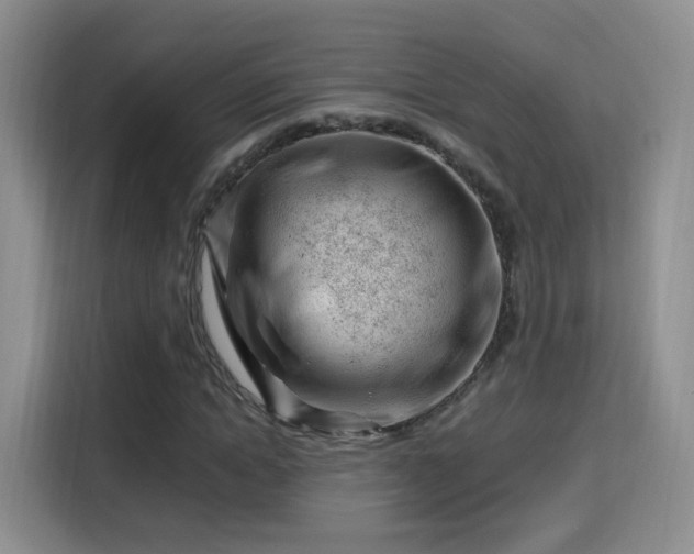 X0000115810822200911201416